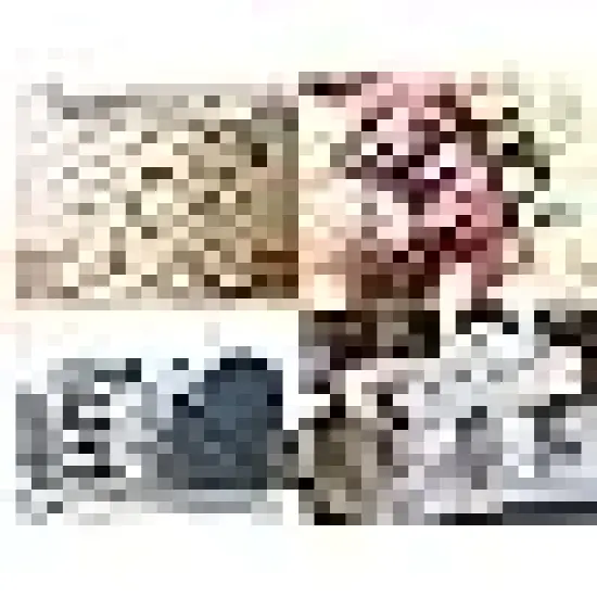 Fabric Squares Sheets Patchwork Craft Cotton Quilting Fabric {6}