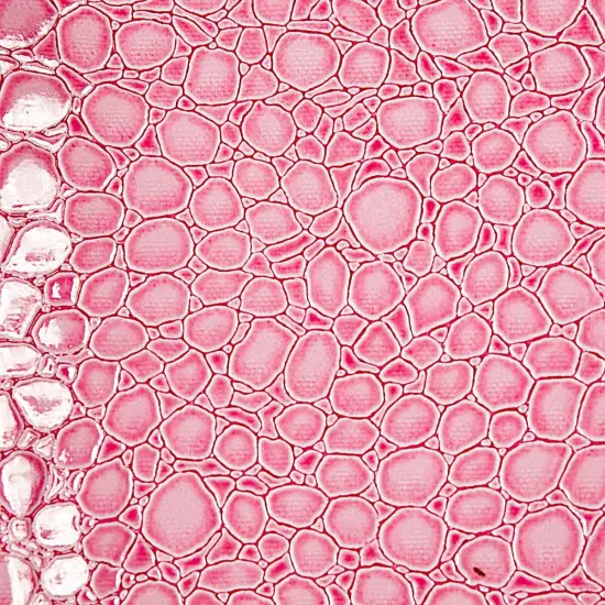 1 Yard Faux Crocodile Vinyl Fabric For Upholstery Handbags Wallets Crafts 54 Inch Width White {4}