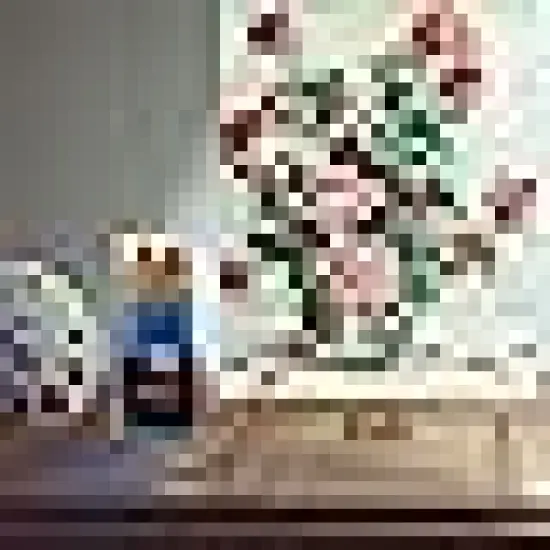 Brushes with Nylon Brush Head and {5}