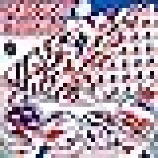 Fabric Squares 4th of July Quilting Fabric Bundles Red White Blue Precut {3}