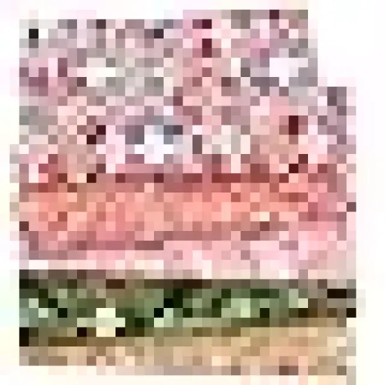 Japanese Style Cotton Wrapping Cloth Squares Quilting Fabric {2}