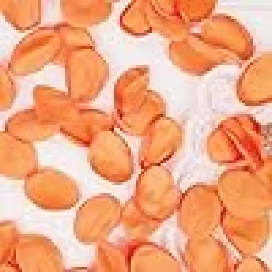 Petals Fall Wedding Decor Flower Girl Petals {4}