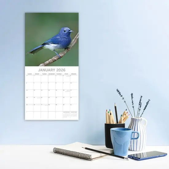 The Gifted Stationary 2026 Square Wall Calendar, Exotic Birds, 16-Month Animals Theme Hanging Calendar with 180 Reminder Stickers, Month Planner for Home and Creative Spaces, 12x12 In Multicolor {2}
