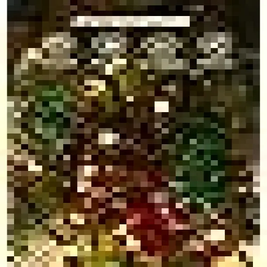 Christmas Firecrackers String Lights {4}