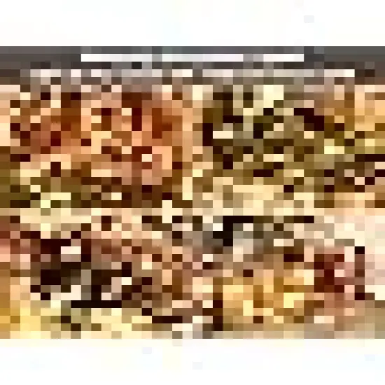 Clear Christmas Lights {3}