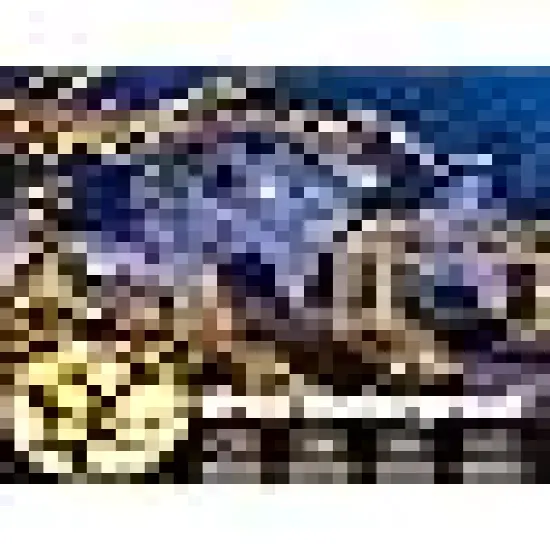 End-to-End Plug 8 Modes Indoor Lights {2}