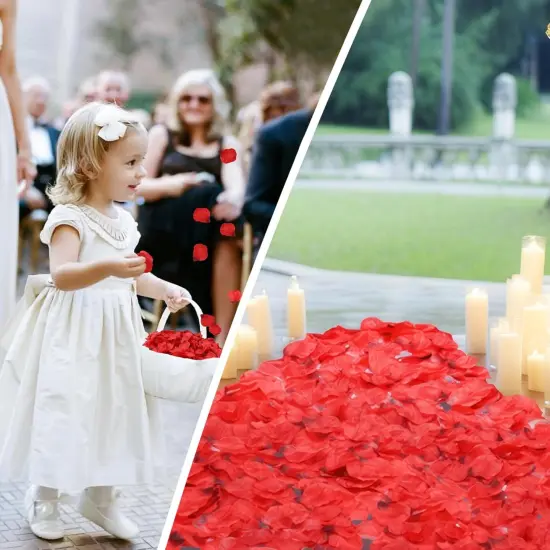 3000 PCS Dark Red Artificial Silk Rose Petals for Romantic Night, Wedding, Party, Anniversary Flower Decorations {5}