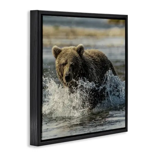 Stupell Industries Bear Splashing in River Floating Frame Design by Danita Delimont {3}