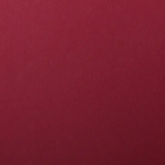 Colorplan by Legion Papers 11" x 17" - 130 Lb. / 18.5 pts Matte Premium Cardstock Paper Cover Sheet - 50 Sheets {1}