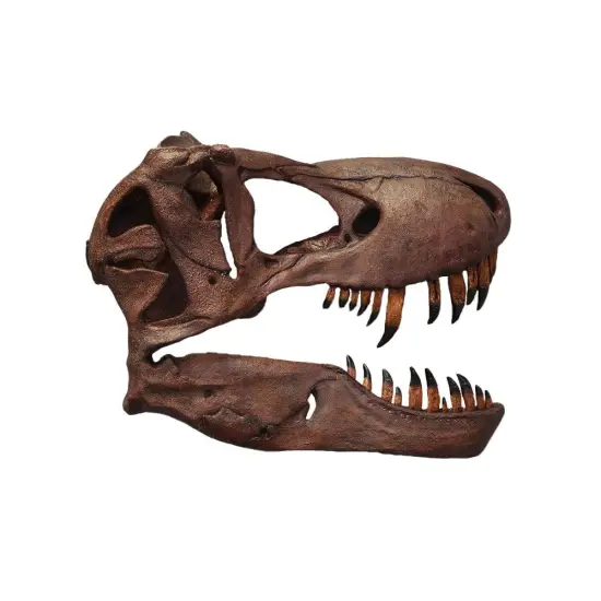 T-Rex Skull Wall Decor Life Size Statue {1}