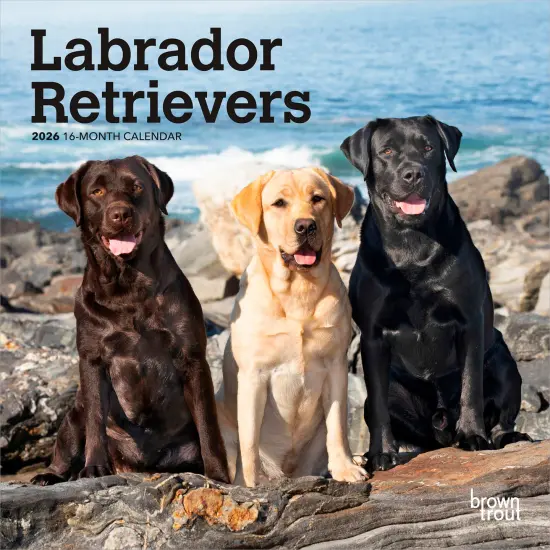 Labrador Retrievers | 2026 7 x 14 Inch (Hanging) Monthly Mini Wall Calendar {1}
