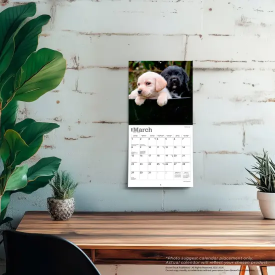 Lab Puppies | 2026 7 x 14 Inch (Hanging) Monthly Mini Wall Calendar {5}