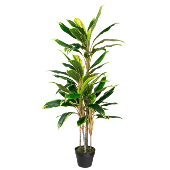 Northlight Real Touch&trade;️Artificial Potted Two Tone Dracaena Plant - 4.5' Green {3}