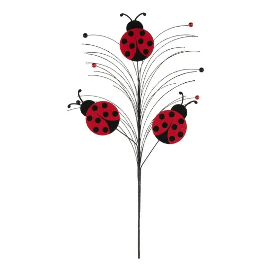 30" Glitter Ladybug Spray {1}
