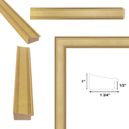 Modern Contemporary Champagne Gold Flat Picture Frame 12x14 frame {4}