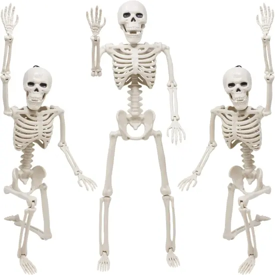 3 Packs Skeleton Halloween Decoration {1}