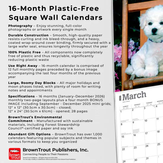 Bichon Frise Puppies | 2026 12 x 24 Inch (Hanging) Monthly Square Wall Calendar | Plastic-Free {6}