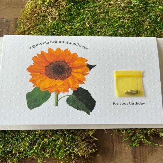 Happy Birthday - Sunflower {1}