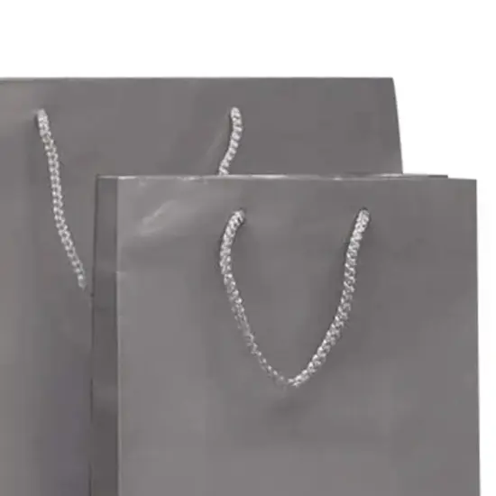 Compact Glossy Euro Totes 6 1/4'' x 3 1/2'' x 8 1/2'' for Retail Packaging Non-Metallic Silver {6}