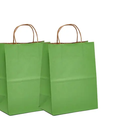 Classic Kraft Tinted Paper Bag 8" x 5" x 10.25" {2}