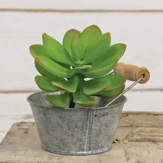 Green Torch Succulent Pick with Brown Stem {2}