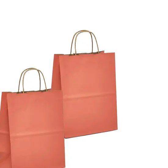 Kraft Shopping Bag Tinted and Spacious 5.5" x 3.25" x 8.375" {2}