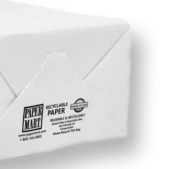 Plain White Kraft Shopping Bag 12" x 9" x 15 1/4" {6}