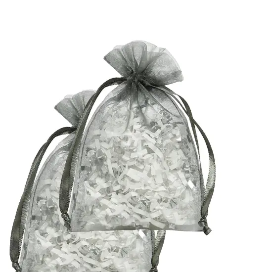 Organza Gift Bags 4&rdquo; x 6&rdquo; for Special Favors {2}