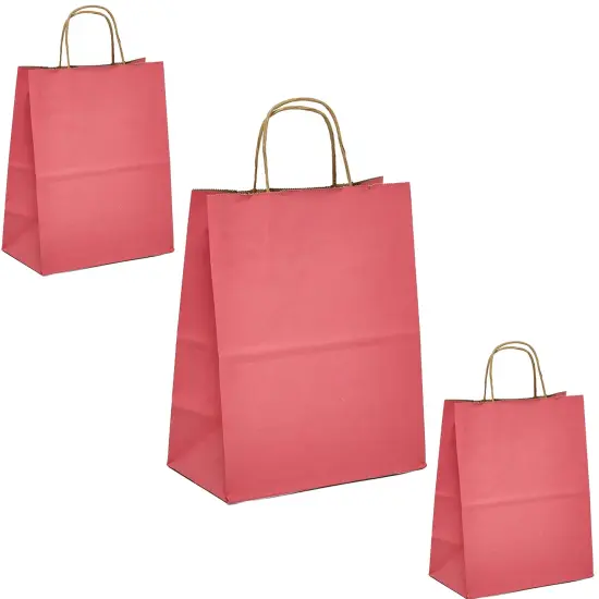 Classic Kraft Tinted Paper Bag 5.5" x 3.25" x 8.375" {4}