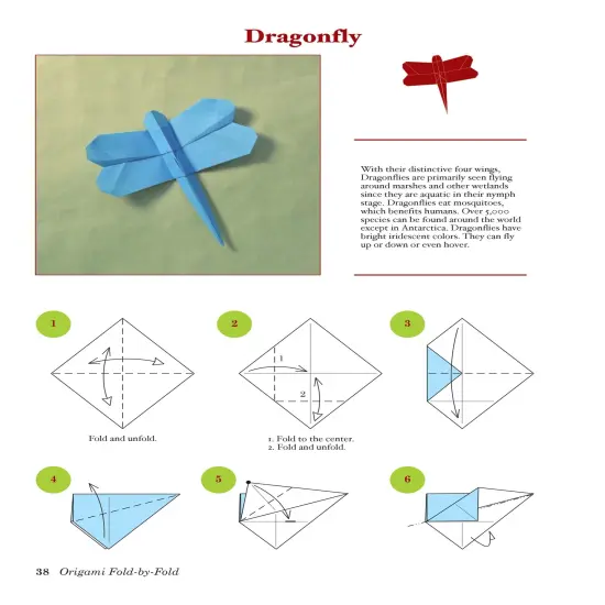 Origami Fold-By-Fold-Softcover {6}