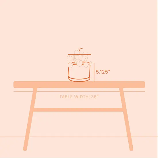 Bloem Mathers Round Planter With Saucer Tray: 6" - White - Modern Design, Durable Plastic Pot, Removable Saucer, For Indoor & Outdoor Use, Gardening, .67 Gallon Capacity {6}