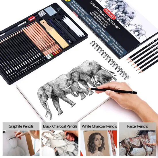 Drawing Sketching Pencil Set, 42 Pack Pro Art Pencil Kit with Graphite Pencils (14B-4H), Charcoal Pencil, Ideal for Shading, Blending, Drawing Set for Beginners & Pro Artists {4}