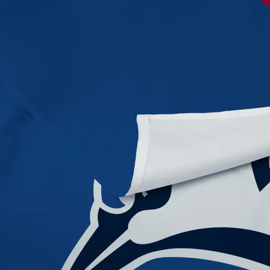 MLB Premium Wall Hanging Toronto blue jays {4}