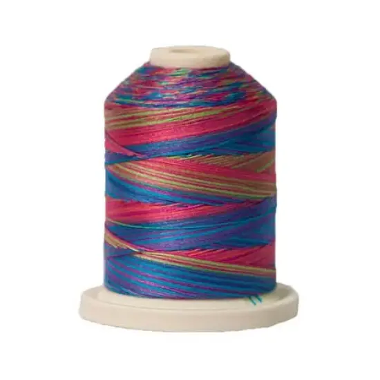 016 Fad 5 Signature Cotton Variegated Thread Mini Spool - 40WT {1}