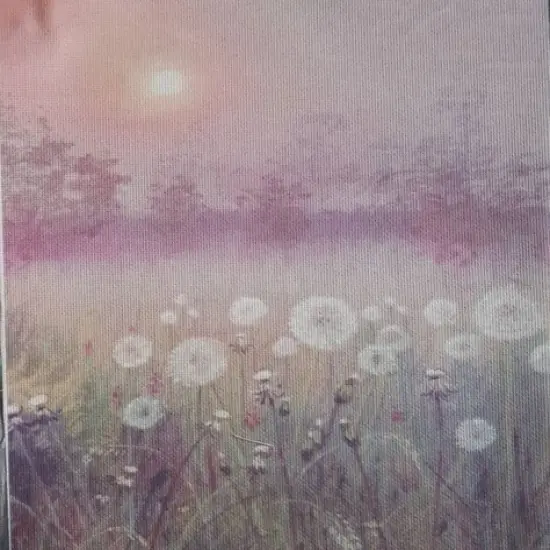 Dandelion Dreams Dandelion Dreams Designer Printed AIDA Fabric. Canvas for embroidery with an applied backgroundKF-1102A {1}