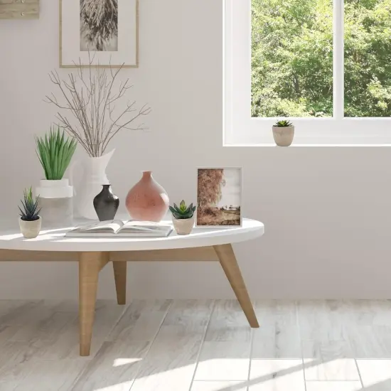 Artificial Succulent Plants Potted, Assorted Decorative Faux Succulent Potted Fake Cactus Cacti Plants with Pots, Set of 5 {5}