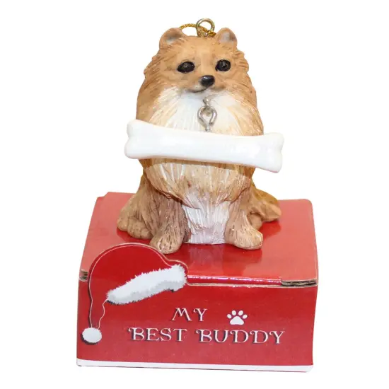 Pomeranian with Bone Ornament {2}