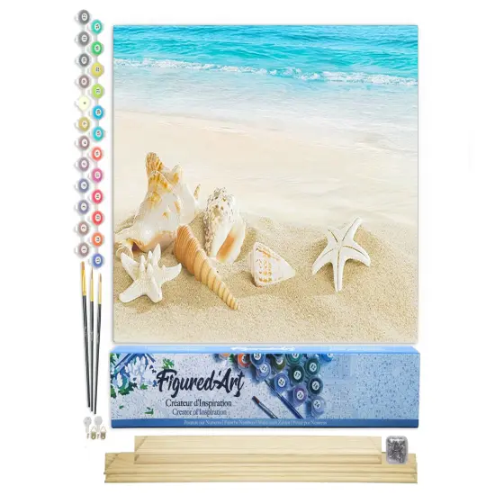 Figured'Art Paint by Numbers Kit for Adults Shells on the Seaside 16"x20" - Craft Art Painting Rolled Canvas with DIY wooden frame {1}