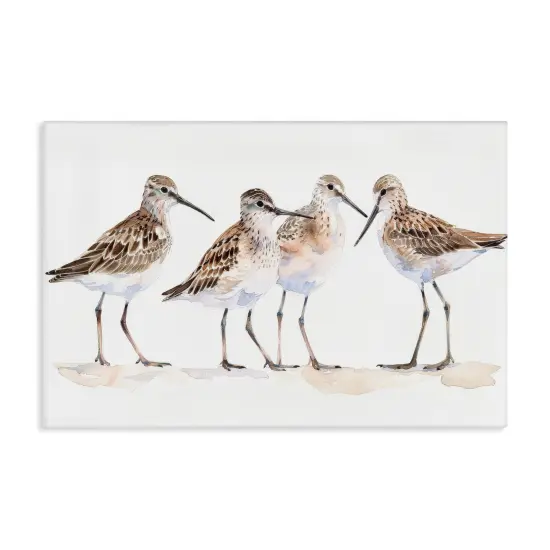 Stupell Industries Sand Pipers Gathered Canvas Wall Art Design by Petal Prints Design {1}