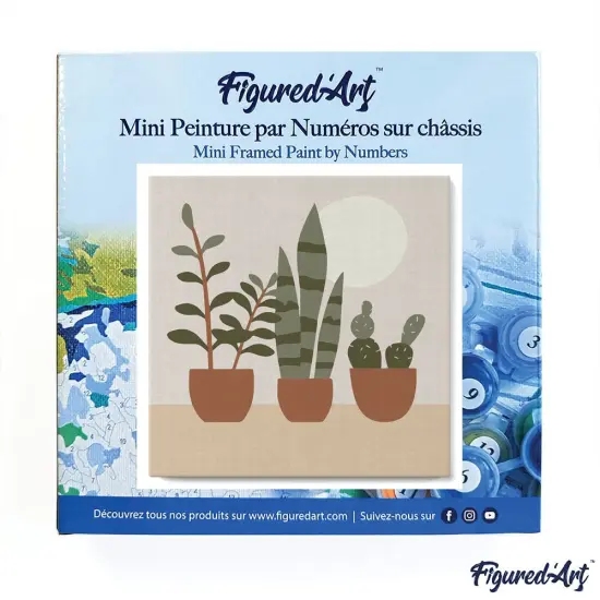 Figured'Art Mini Paint by Numbers Kit for Adults with Frame Three plant pots Small format 8"x8" - Craft Art Painting DIY Canvas Already Stretched on a Wooden Frame {3}