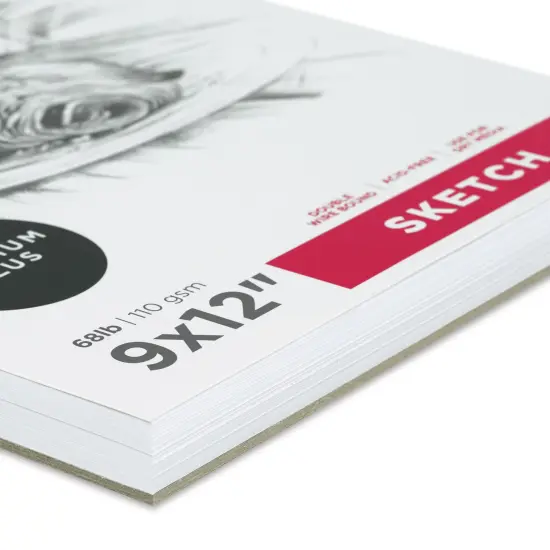 artPOP! Sketch Pads, 2-Pack, 9" x 12", 100 Sheets Each, 68 lb (110 gsm), Acid Free Paper for Dry Media, Top Wirebound Sketchpad for Drawing with Ink, Colored Pencil, Graphite, Charcoal, Pastels {1}