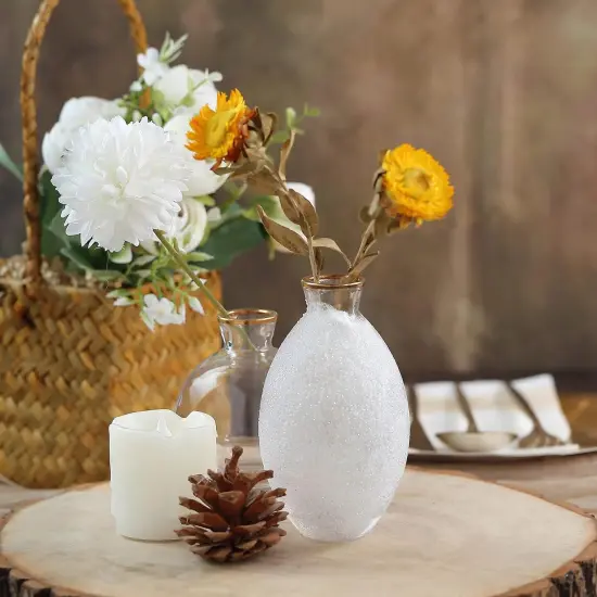 1 Pound Bottled Craft Glitter for Craft and Decoration {5}