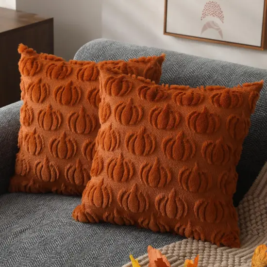 Set of 2 Fall Decorations Autumn Rust Pumpkin Throw Pillow Cases {1}