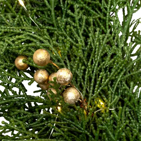 Northlight Real Touch&trade; Cedar and White Pine Artificial Christmas Wreath - 30" - Warm White LED Green {5}