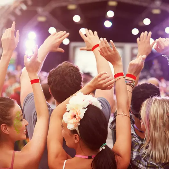 COSCO Security Wristband, Tamper Resistant, 10" x 3/4", Red, 100 bands (20 perforated sheets of 5 bands each) {5}