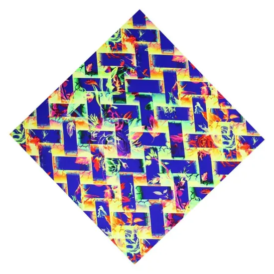 Rainbow Basket Weave Printed Spandex {3}