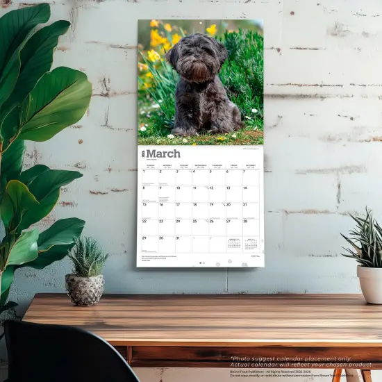Shih Tzu | 2026 12 x 24 Inch (Hanging) Monthly Square Wall Calendar | Plastic-Free {5}
