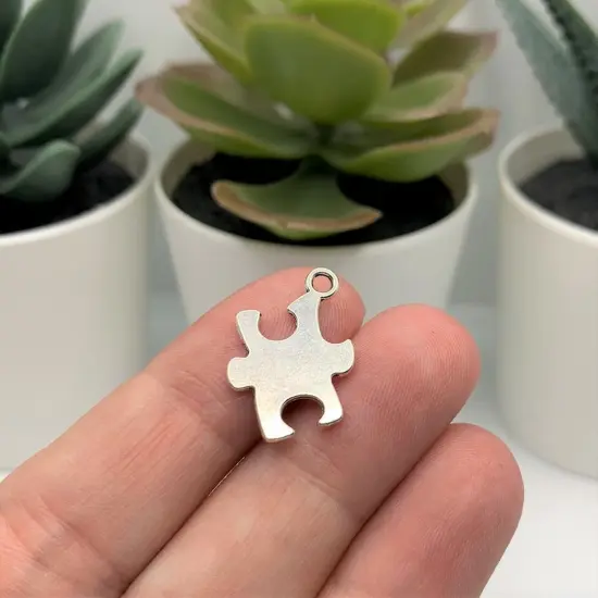 Silver Autism Awareness Puzzle Piece Charms, 22x14mm {2}