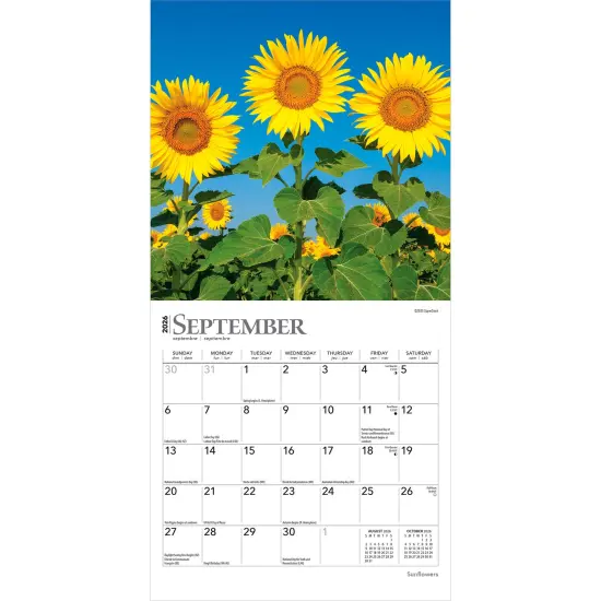 Sunflowers | 2026 7 x 14 Inch (Hanging) Monthly Mini Wall Calendar {4}
