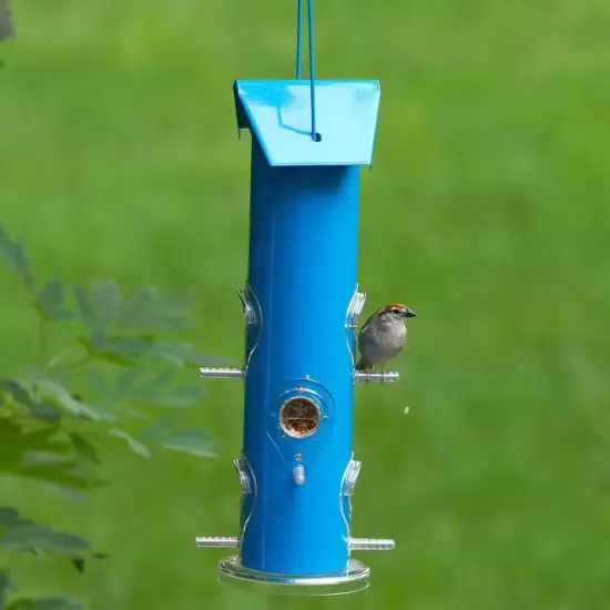 Outdoor 6-Perch Rust-Resistant Metal Tube Bird Feeder with Hanging Hook for Garden or Patio Blue {3}